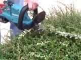 Makita BUH550RD 36V Cordless li-ion Hedge Trimmer