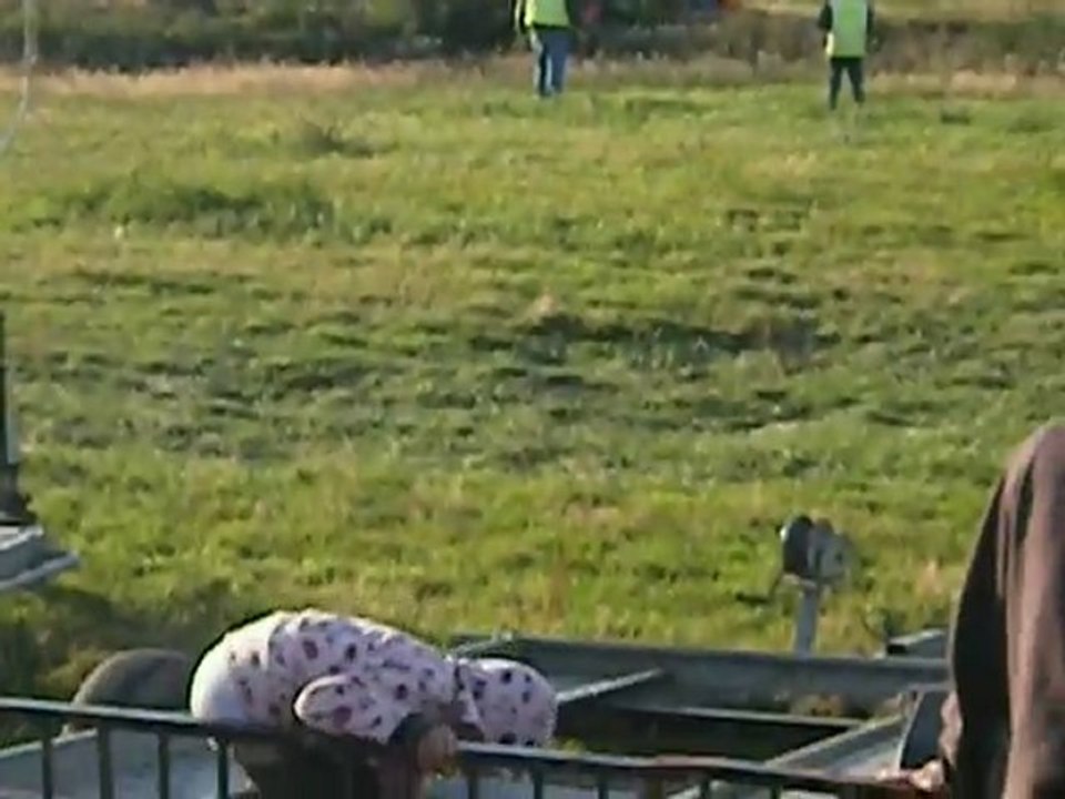 bosc roger nocturne FUNCAR 2010