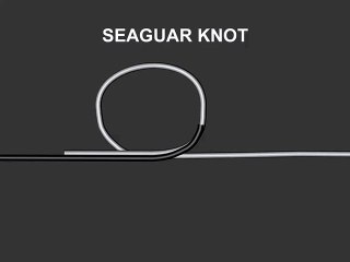 Seaguar Knot Misina Düğümleri www.baliksevdam.com