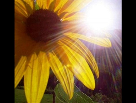 Mekan-x - Kalbi Bağladın '' Antalya Rap ''