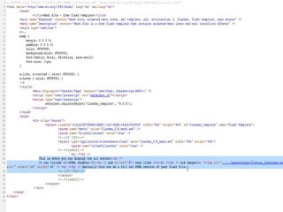 How to optimize a Flash Website for Search Engines