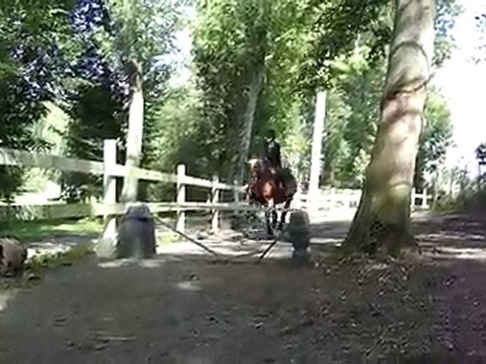 les 1m et + avec ma louloutte !!