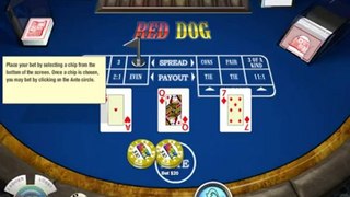 Red Dog Online | Online Table Games | USACasinoGamesOnline