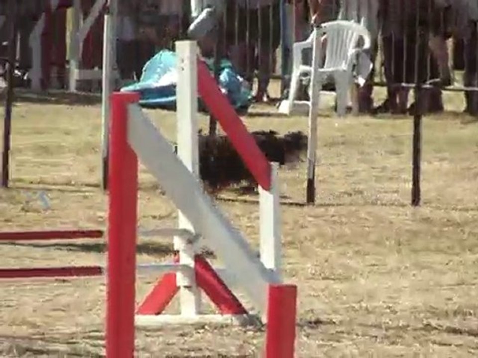 jump manue  tva