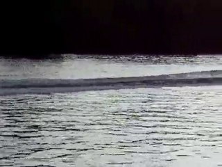 mais où est passé snoopy ?