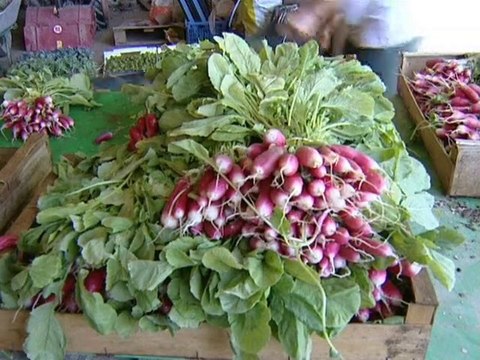 Calaisis TV : L'oeilleton d'Emma : Le Chenelet n°1