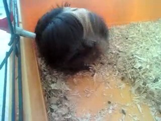 début des contractions