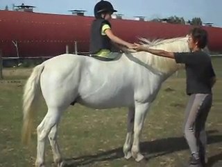 LORIOT DE L EPINET, CAMARGUE. SDC12713