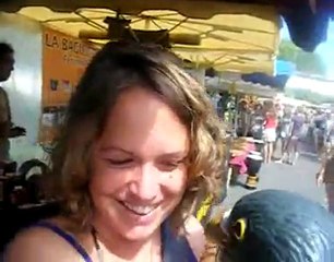 Cédépé - Collectif Métissé