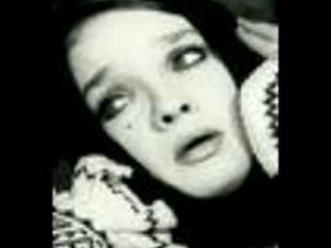 Margareta Paslaru - Trandafiri Tai