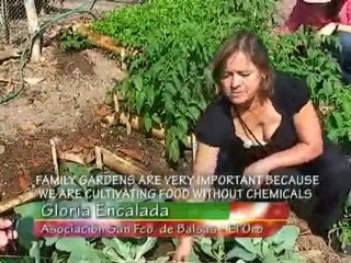 cofenac, cafe, manabi, ecuador eng