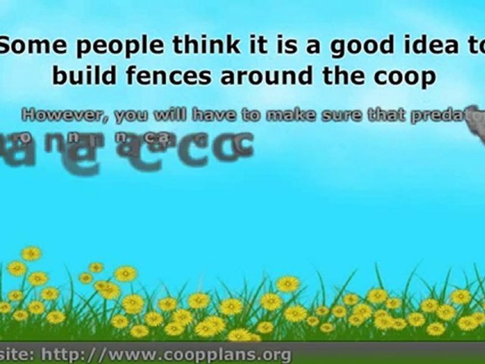 How To Make A Chicken Coop - Important Things To Consider