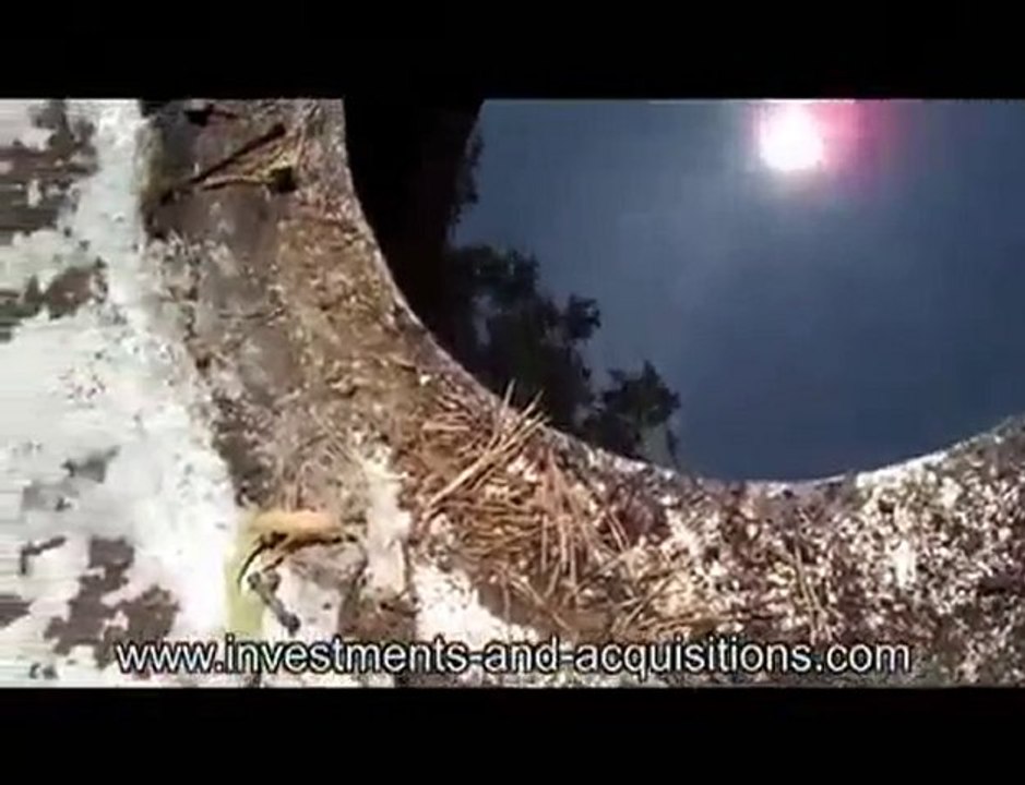 ky1 EASTERN KENTUCKY CRUDE OIL WELLS FOR SALE