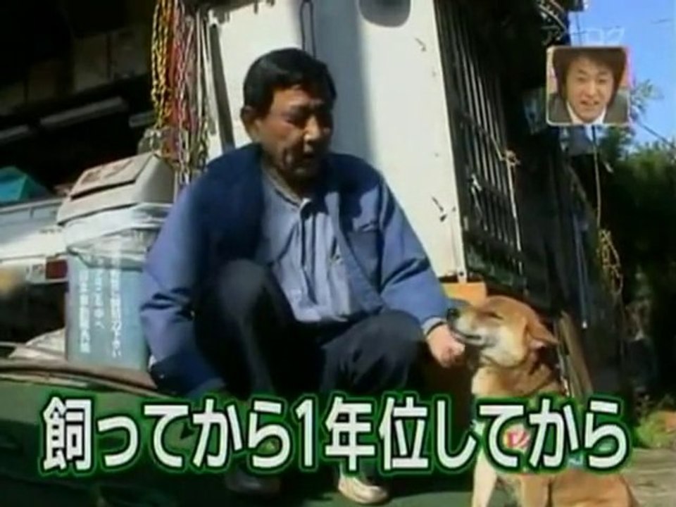 SNTV - The smiling dog