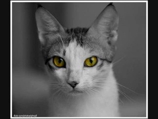 Sigur Ros  Sevfn-G-Englar - Ele Cat Remix
