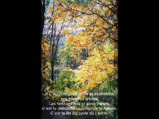 LE VENT © POEME DE THOMAS ANDRE © PHOTOS MARTINE ANCIAUX©  T