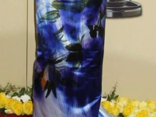 SNTV - Oscars 2010: Red carpet trends