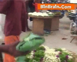 Jasmine flowers in Kanyakumari