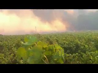 les feux ravages les alentours de meze  30 - 08 _2010