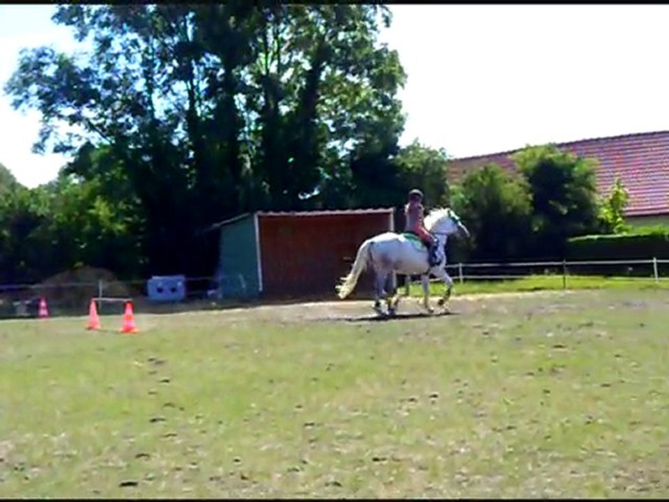 osiris une superbe jument