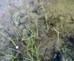 GİT BİRDAHADA GERİ GELME