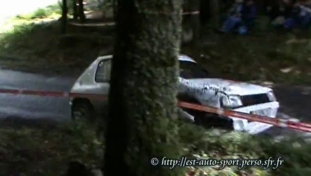 Rallye des Vallées 2010 Est Auto Sport