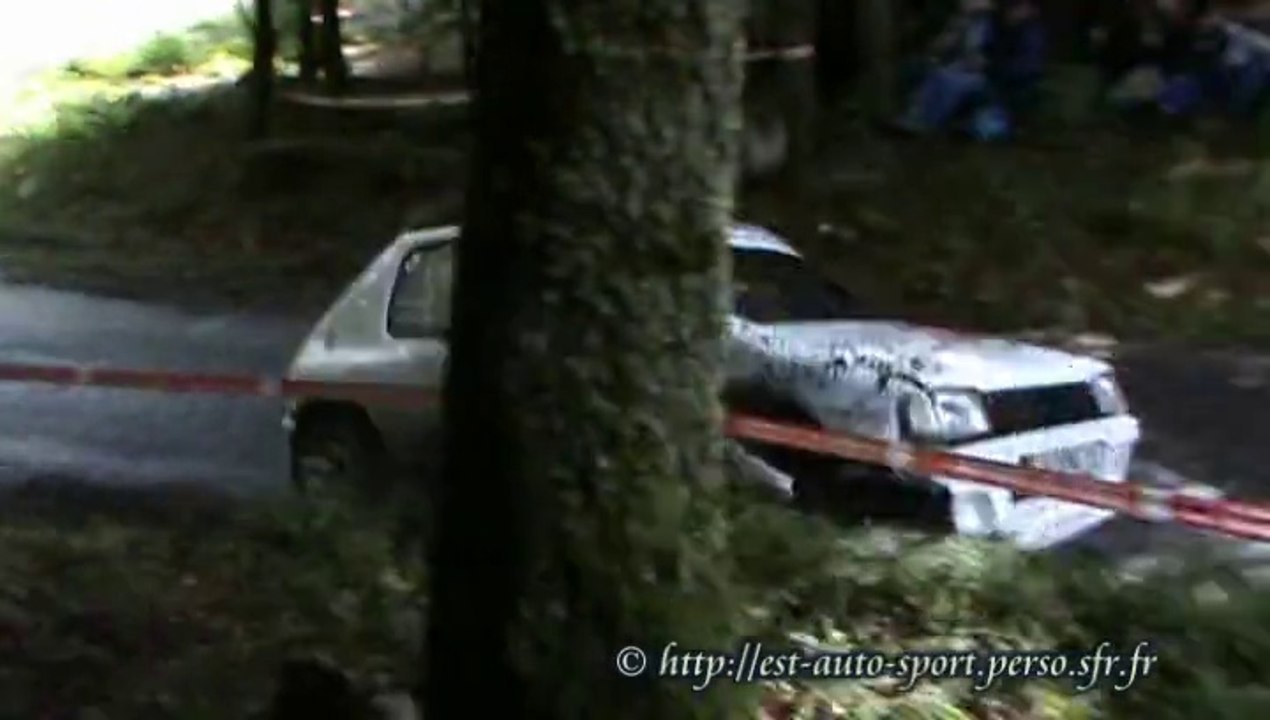 Rallye des Vallées 2010 Est Auto Sport