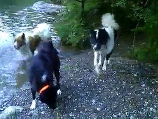 esquimaux du groenland à la "pistoche"