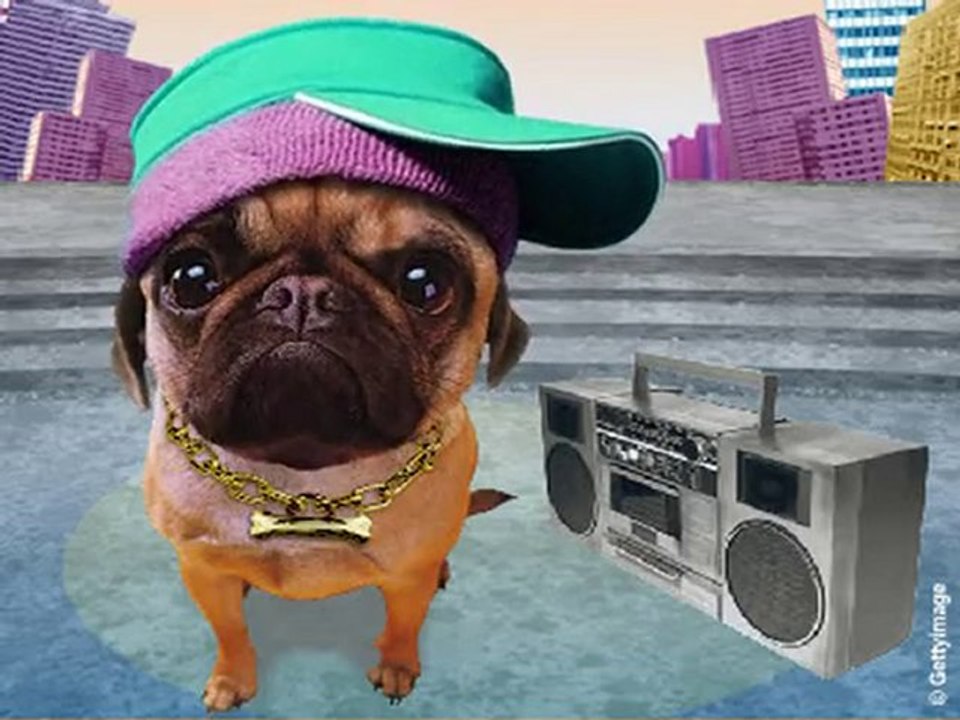 Joyeux anniversaire - Chien rappeur