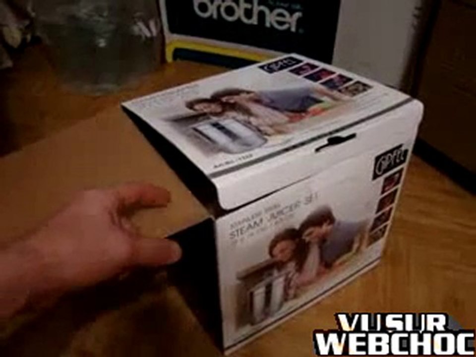 chat dans un carton