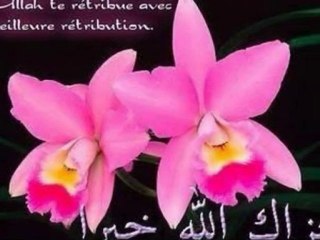 Anasheed-Ferchi Atorab
