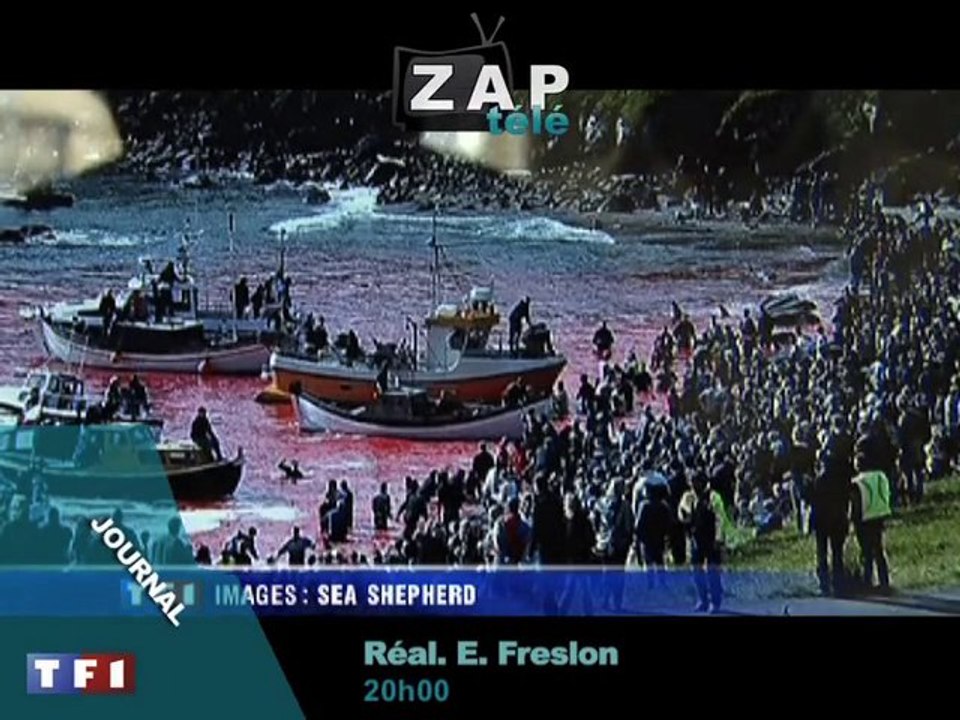 Zapping du 31 août 2010