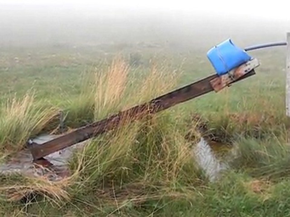 Hırsava Obasındaki Zeki Domuz Tuzağı