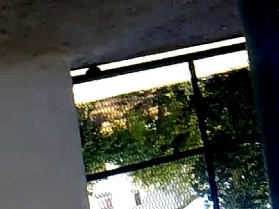 doğanın oğlu efe fermada