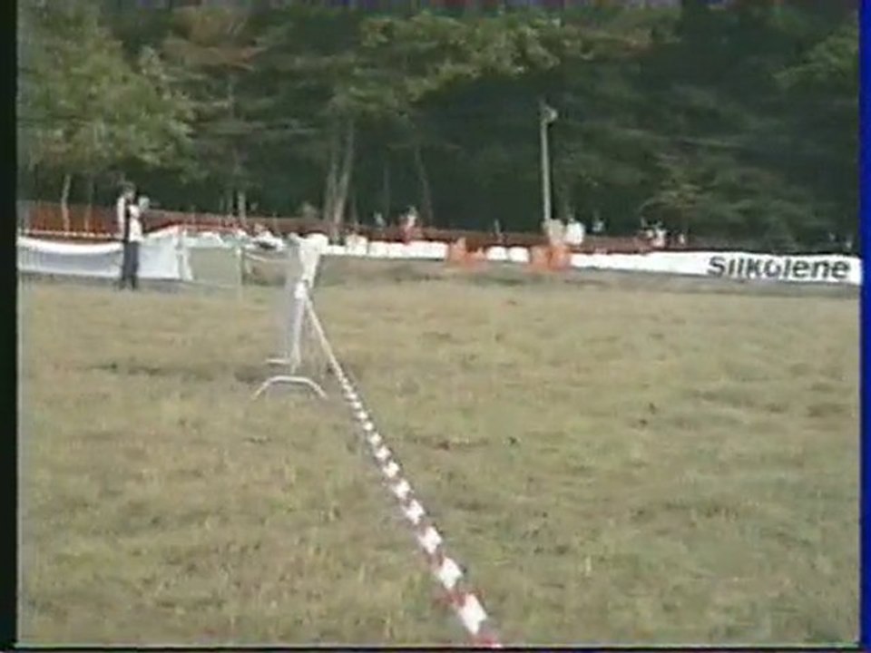 St Thurial 29 aout 2010 :  Side-car