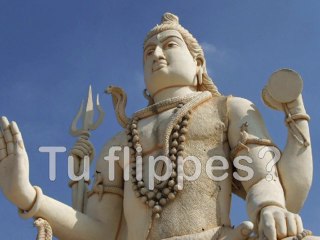 Championnat Feuille Caillou Ciseaux 2010 / 2