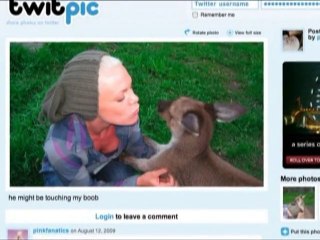 SNTV - Les twits des stars