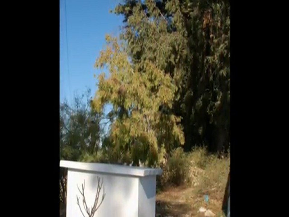 231208_hammamet_zitadelle_3