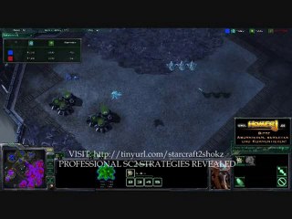 Starcraft 2 G207 - ChiTaPrime (P) vs ... | Epic Korean 1v1 Zerg Battle 🎮