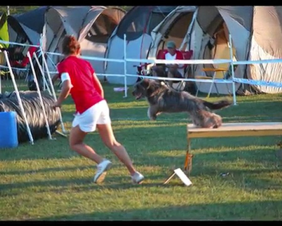 City concours Agility semi-nocture 28 Août 2010