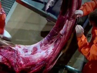 Machine That Turns Plastic Into Oil: Could this Save ...