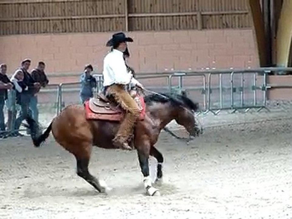 Championnat de France western 2010 - reining