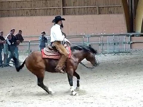 Championnat de France western 2010 - reining