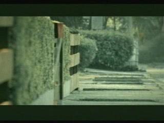 Pub bridgestone chien suicide