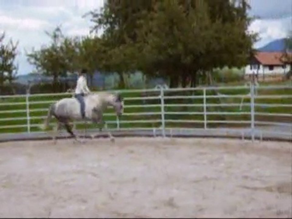 Safran: 4ans