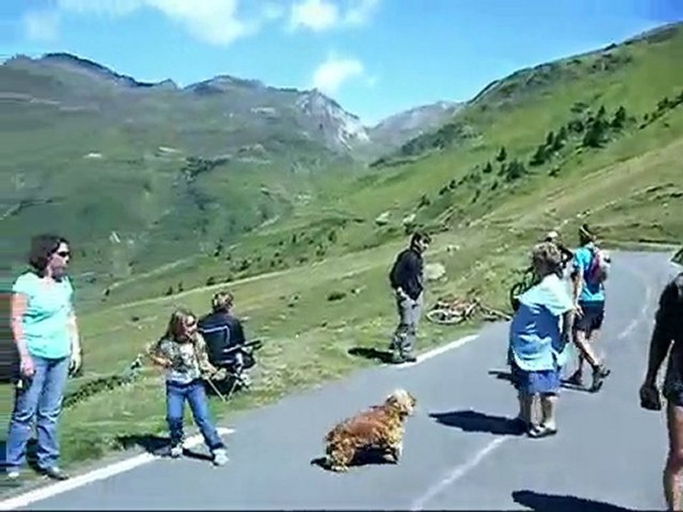 papapapapapa  papapa