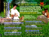 Supreme Master Ching Hai - Environmental Solutions - 1/4