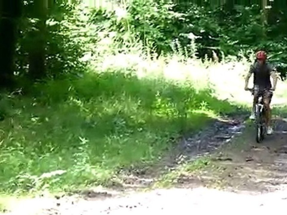 Sortie VTT Forêt de Haye 28 juillet 2010 (2)