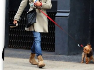 SNTV - Les stars aiment les bottes