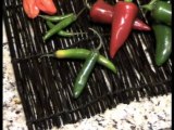 Green Chilies; Roasting Green Chilies by Chef Shellie